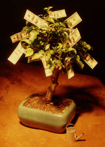 money on tree